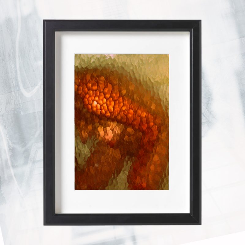 JA01-EX-BZ Skin Reflection_framed