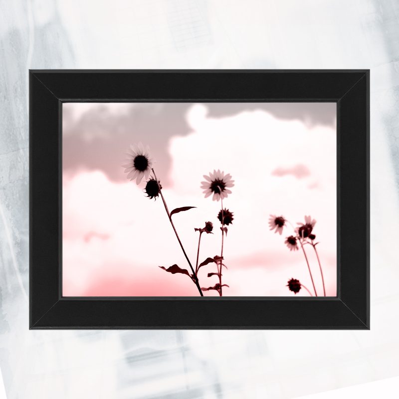 JA01-EX-CF- sunflower blue_framed