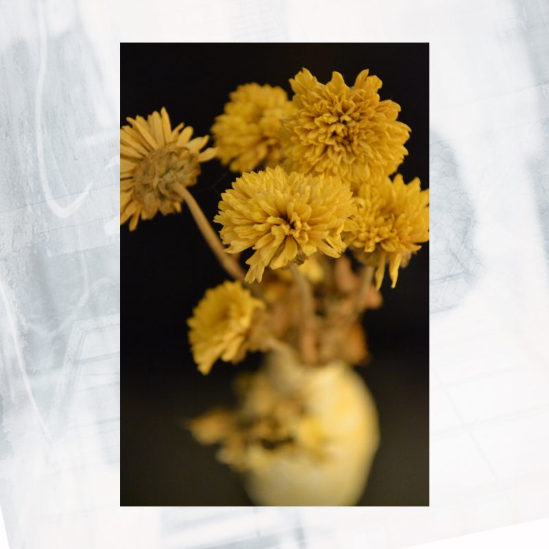 JA01-EX-CO Yellow II