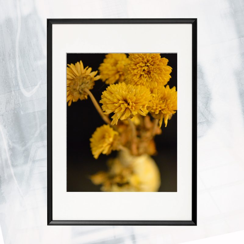 JA01-EX-CO Yellow II_framed