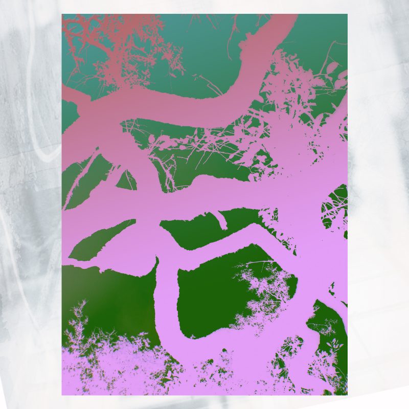 shadow branch g and p web shop