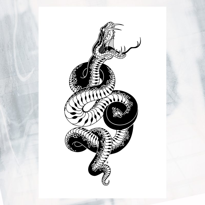 JL02-EX-A- Blacksnake