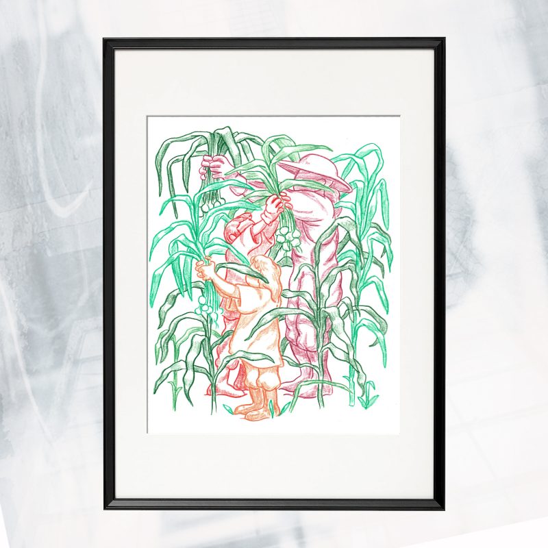 MM01-EX-M- Grown_framed