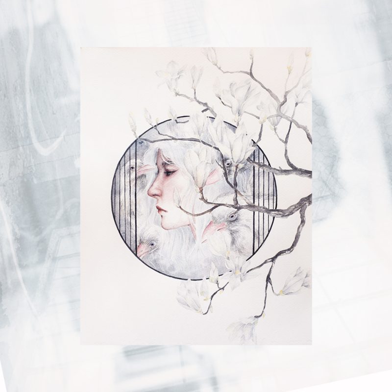 NP01-EX-A- Cabin Fever